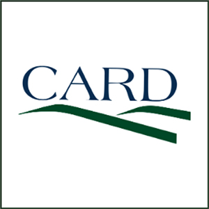 card-300x300