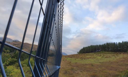 120139296_756123178503928_2769727264816944991_o