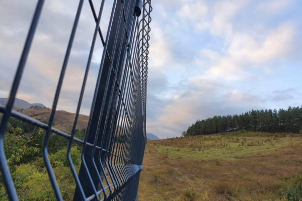 120139296_756123178503928_2769727264816944991_o