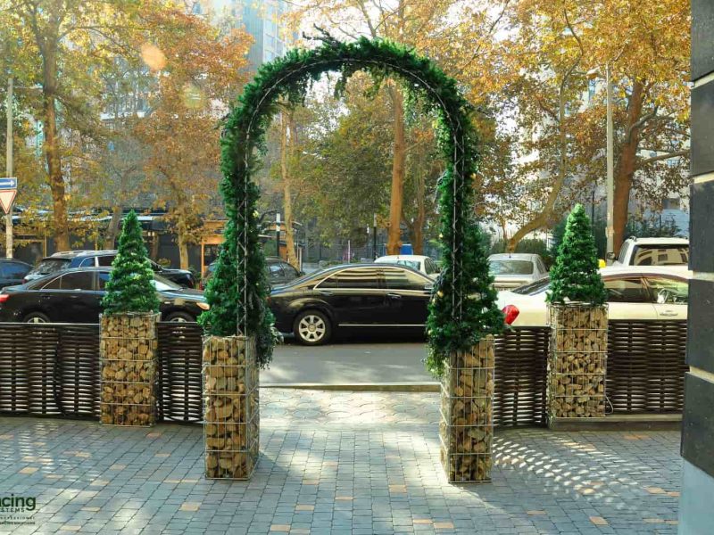 80305878_56609969083_AbOVX